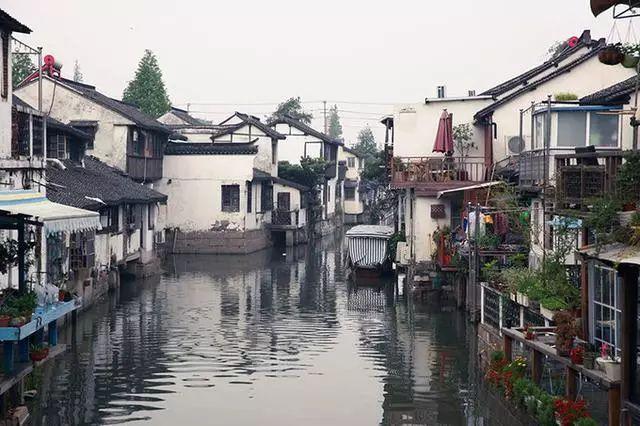 这个可以机豆浆吗，水和黄豆的比例呢游戏画面